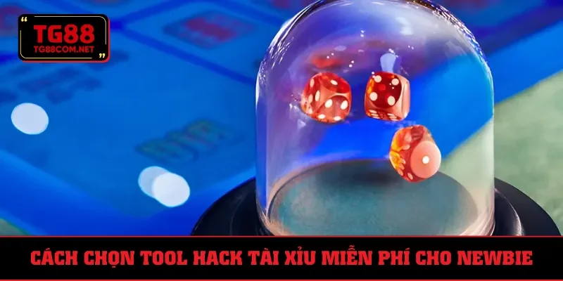 Bật mí cách chọn tool an toàn, hiệu quả
