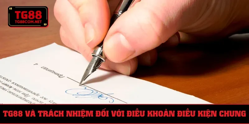 Hệ thống phải có trách nhiệm với điều khoản điều kiện chung